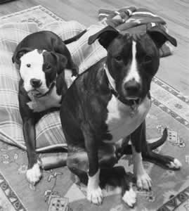 Duce + Piper